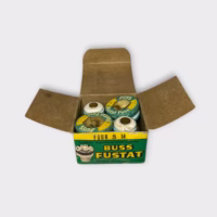 Bussmann S-14 14A Plug Fuse Type-S Dual Element 125V (4-Pack) - Vintage/New Old Stock - Free Shipp!